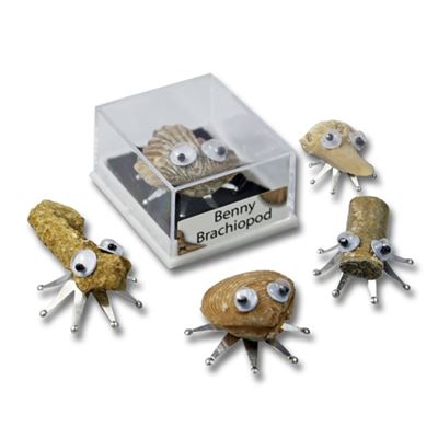 Fossil Bugs in Display Gift Cases 5 Pack
